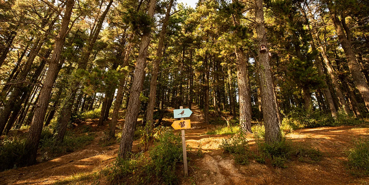 Fit Life SPA & Wellness