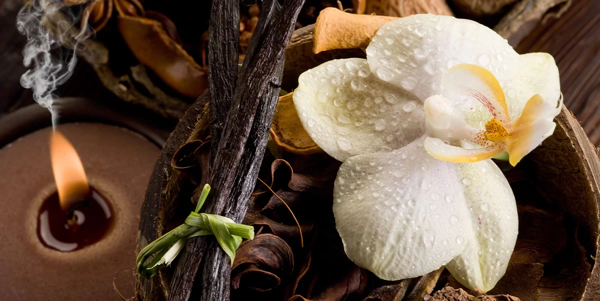 Fit Life SPA & Wellness