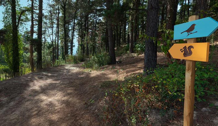 Trekking & Göl Turu