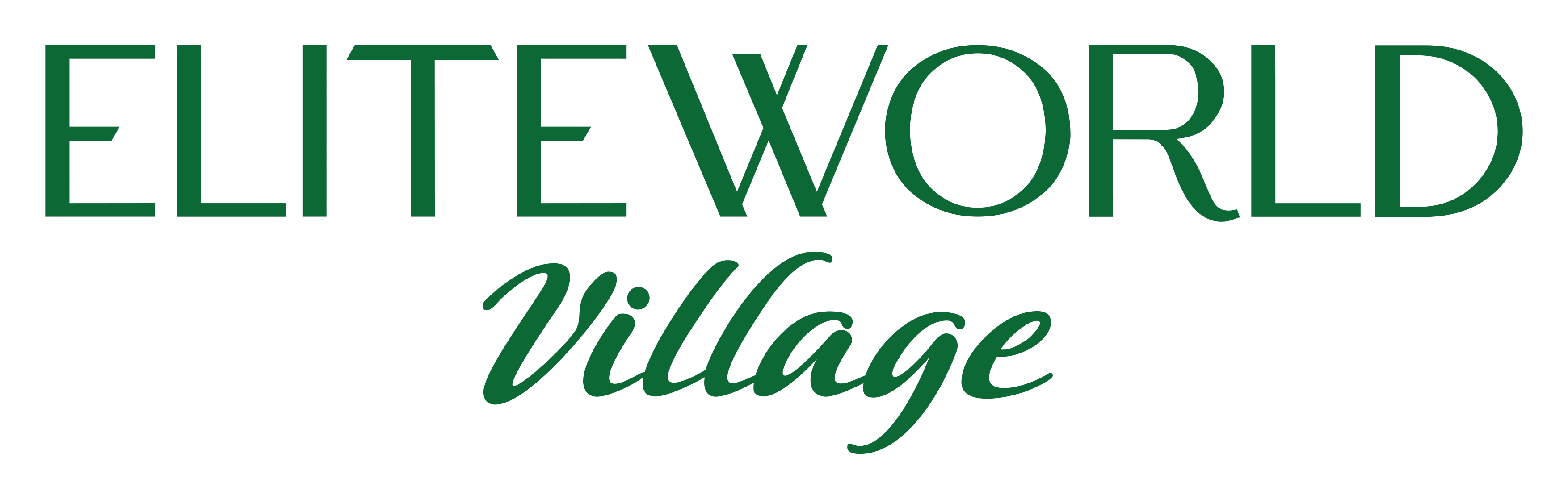 Elite World Village